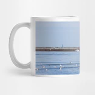 Lighthouse, Luebeck-Travemuende, Schleswig-Holstein, Germany, Europe Mug